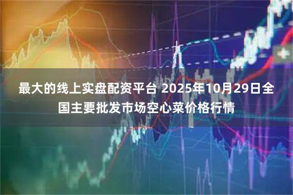 最大的线上实盘配资平台 2025年10月29日全国主要批发市场空心菜价格行情