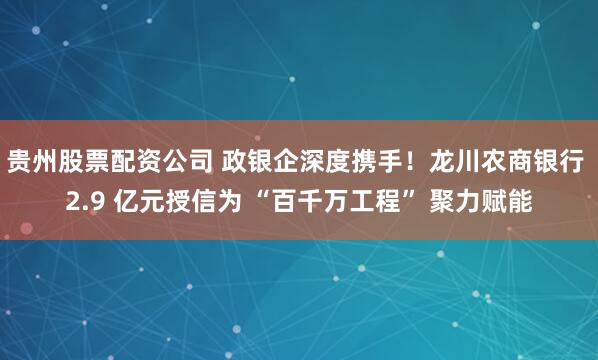 贵州股票配资公司 政银企深度携手！龙川农商银行 2.9 亿元授信为 “百千万工程” 聚力赋能